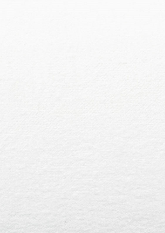 Hanes Fabrics Company-Lining/Select Interlining-White